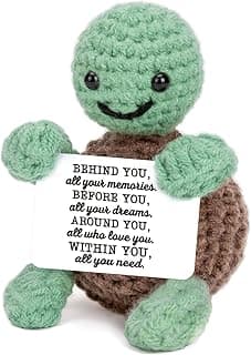 Mini Funny Turtle Graduation Gifts for Her Him College High Middle Elementary School Preschool Kindergarten Graduation Gifts, 2026 Graduates Handmade Emotional Positive Crochet Turtle
