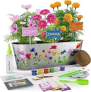 Dan&Darci Paint & Plant Flower Growing Kit for Kids - Easter Gift Ideas Age 5 6 7 8-12 Year Old Girl - Birthday Crafts Gifts for Girls & Boys, Fun Gardening Kits, Art Projects for Ages 5-12 Years